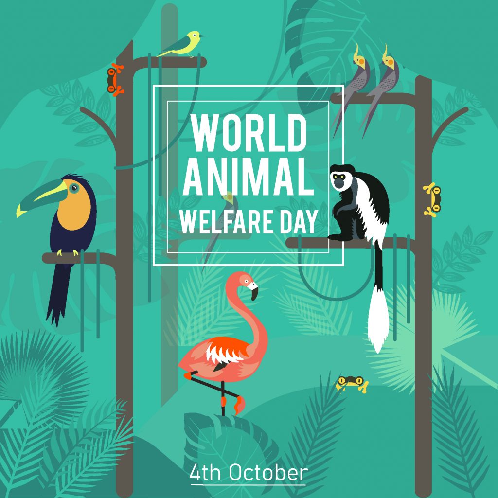 World Animal Welfare Day
