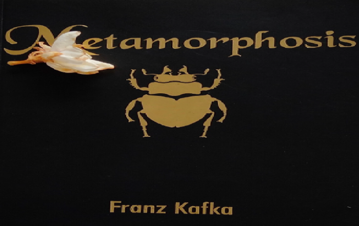 Metamorphosis by Franz Kafka