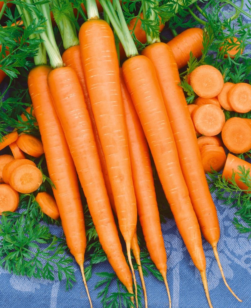 Carrot